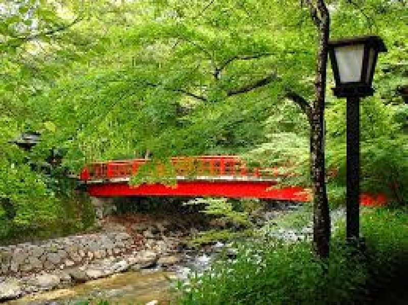 Shizuoka Private Tour - Japanese traditional atmosphere in Shuzenji (hot spring resort)