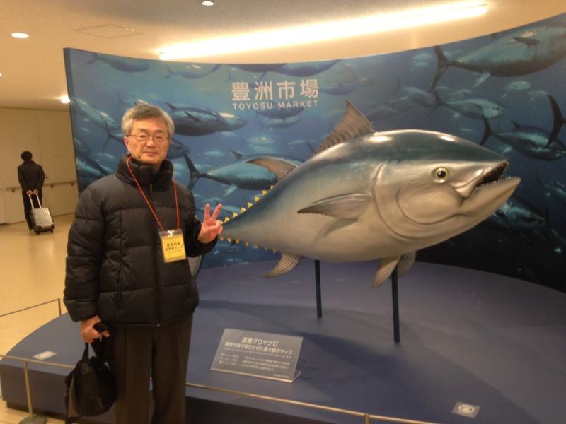 Saitama Private Tour - Toyasu Fish Market
This is the replica of the largest pacific blue fin tuna auctioned in Japan. This tuna is waiting for you at Toyosu Fish Market !!.  Toyosu market opened on October 11, 2018 on the man-made island of Toyosu in Tokkyo bay and it took over the wholesale business from the aging Tsukiji market and provides tourists with an opportunity to observe the market auction and to dine at restaurants across its large and modern premises. Let's enjoy market auction and very fresh Sushi and Sashimi.
