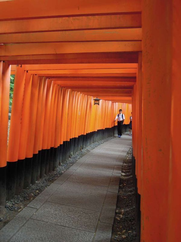 Kyoto Private Tour - Fushimi Inari Grand Shrine     Vermilion-colored thousand torii gates.     