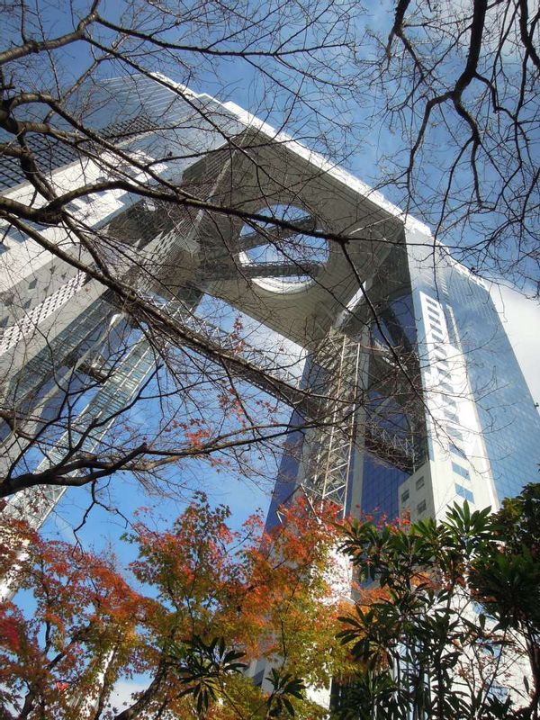 Kyoto Private Tour - Umeda Sky Building seen through colored maple leaves in late December