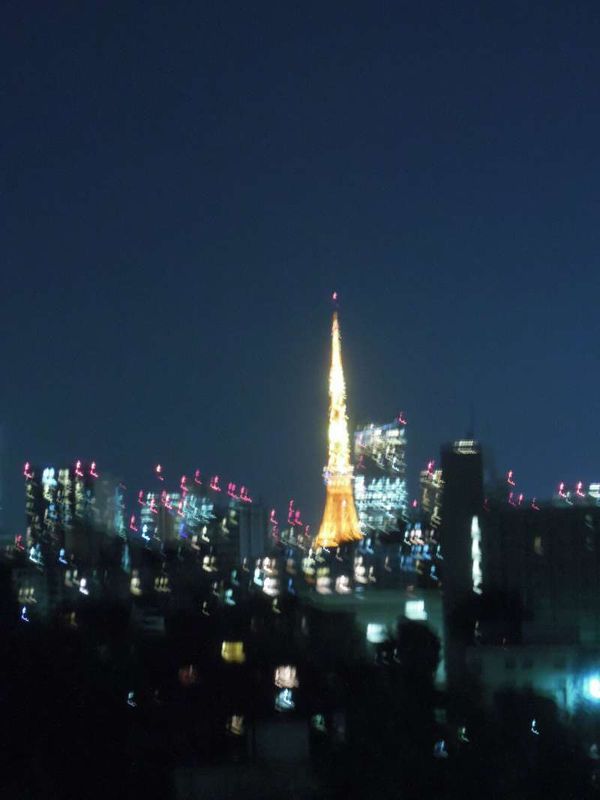 Kyoto Private Tour - Night View of Tokyo Tower