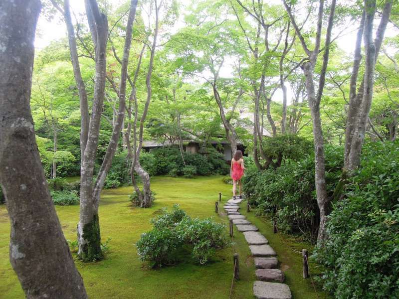 Kyoto Private Tour - At the garden of Okochi Sanso ( a private mountain villa ), Arashiyama