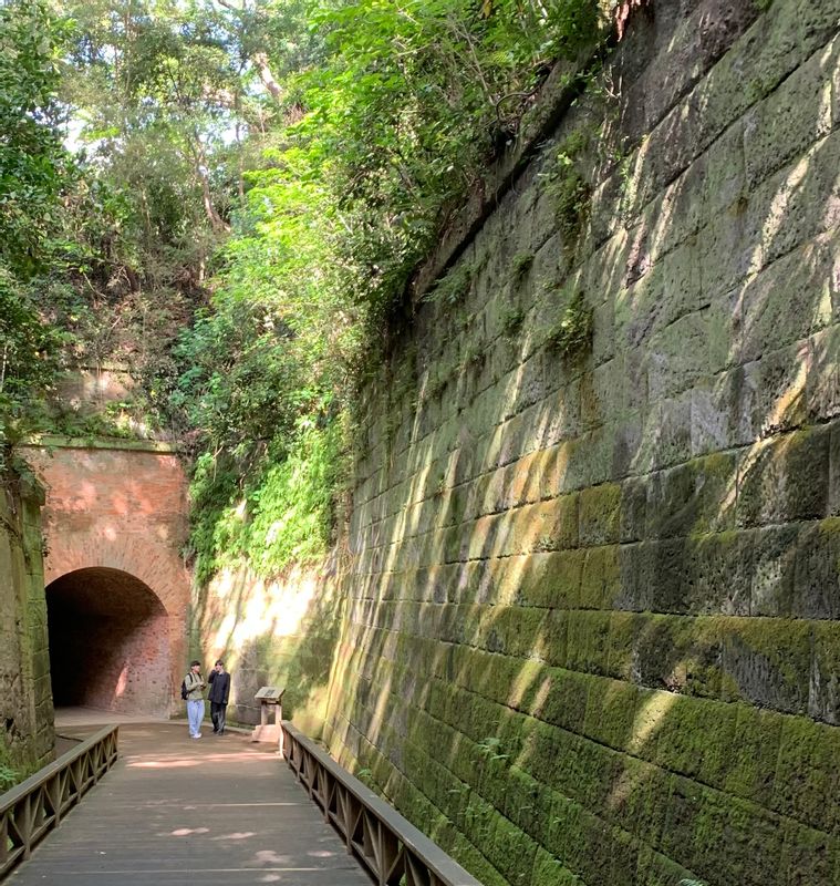 Yokohama Private Tour - Yokosuka : Sarushima Island