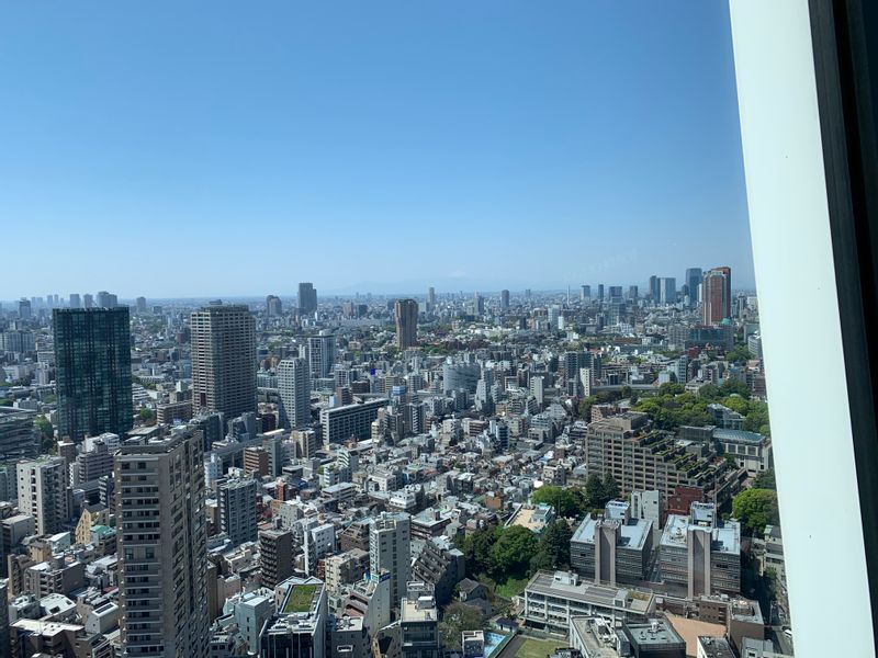 Yokohama Private Tour - Tokyo : Tokyo Tower