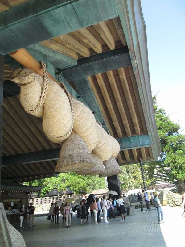 Shimane Private Tour - The largest sacred straw rope in Izumo Grand Shine. It's so huge!