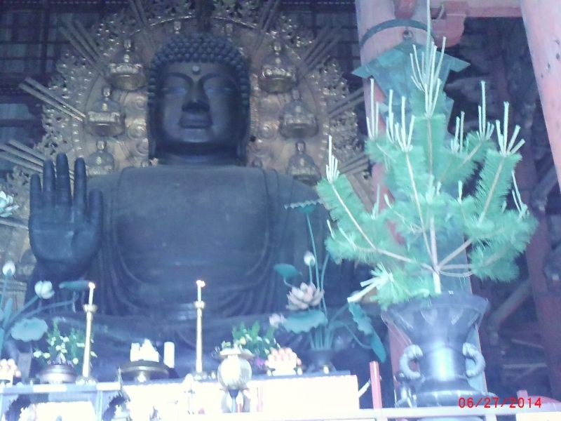 Mount Koya Private Tour - Nara /  Big Buddhist statue of Todaiji temple