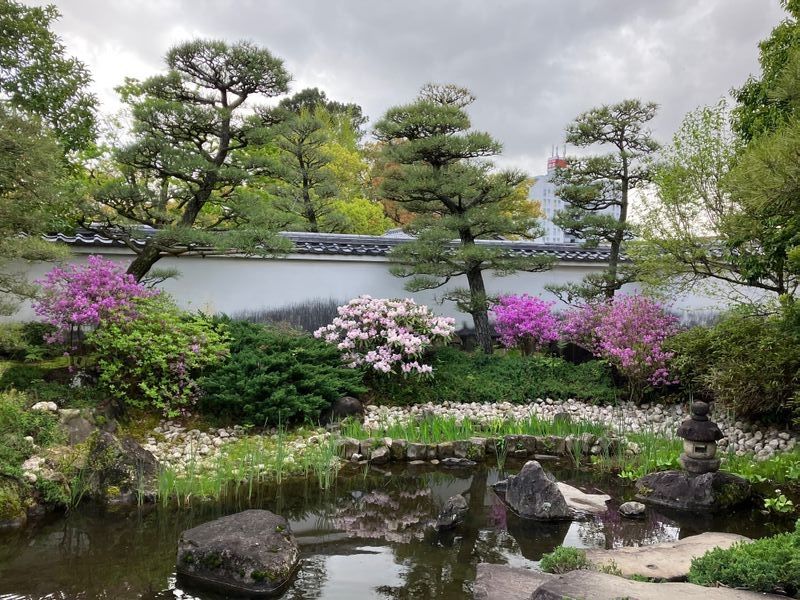 Hyogo Private Tour - Kokoen garden in Himeji