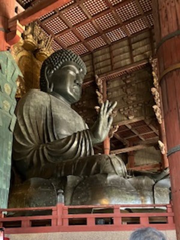 Hyogo Private Tour - Nara Great Buddha in Todaiji temple