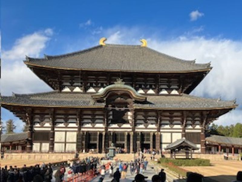 Hyogo Private Tour - Nara Todaiji temple main hall