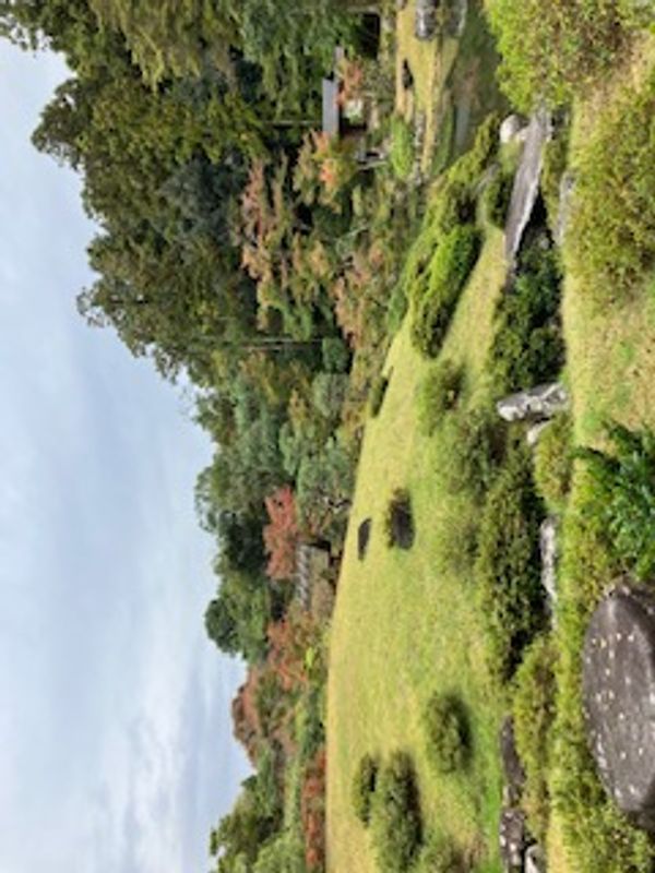 Hyogo Private Tour - Nara Isuien garden in Nara