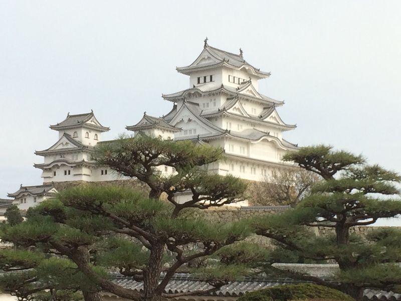 Hyogo Private Tour - Himeji castle from Nishinomaru