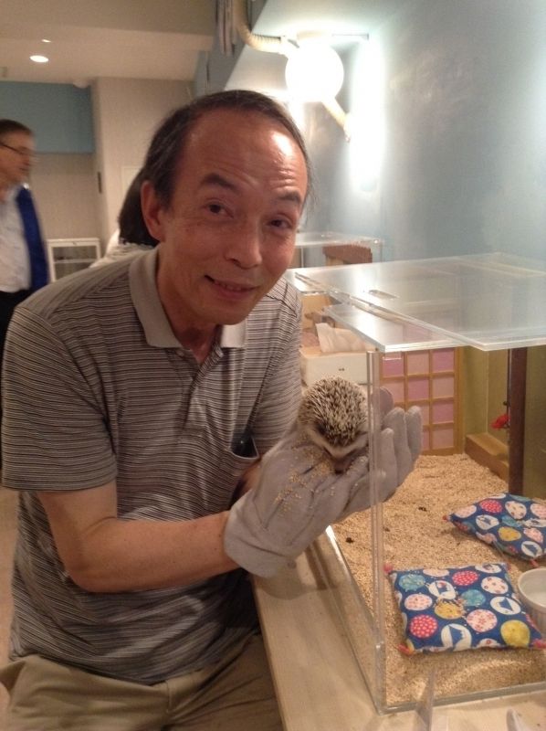 Tokyo Private Tour - This is a scene at a hedgehog cafe, which I visited with my guests.  You can hold a hedgehog like this even without gloves.