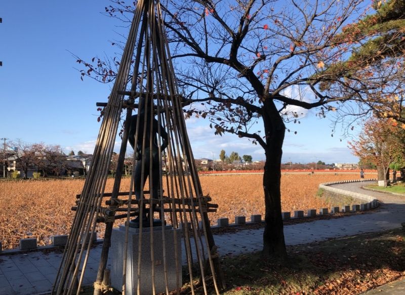 Niigata Private Tour - Takada Park in autumn.  Dozens of statues are covered with show shelters.