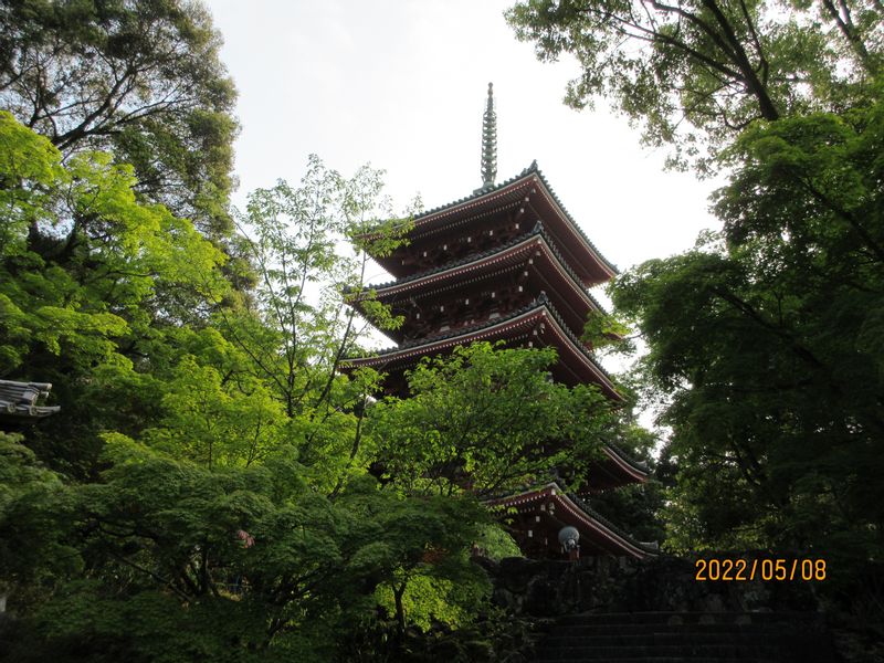 Kochi Private Tour - Five-story Pagoda, Chikurinji Temple