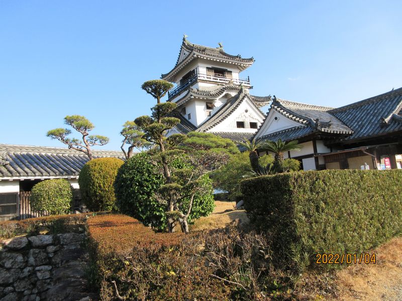 Kochi Private Tour - Kochi Castle