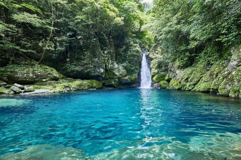 Kochi Private Tour - Nikobuchi, Waterfall Plunge Pool