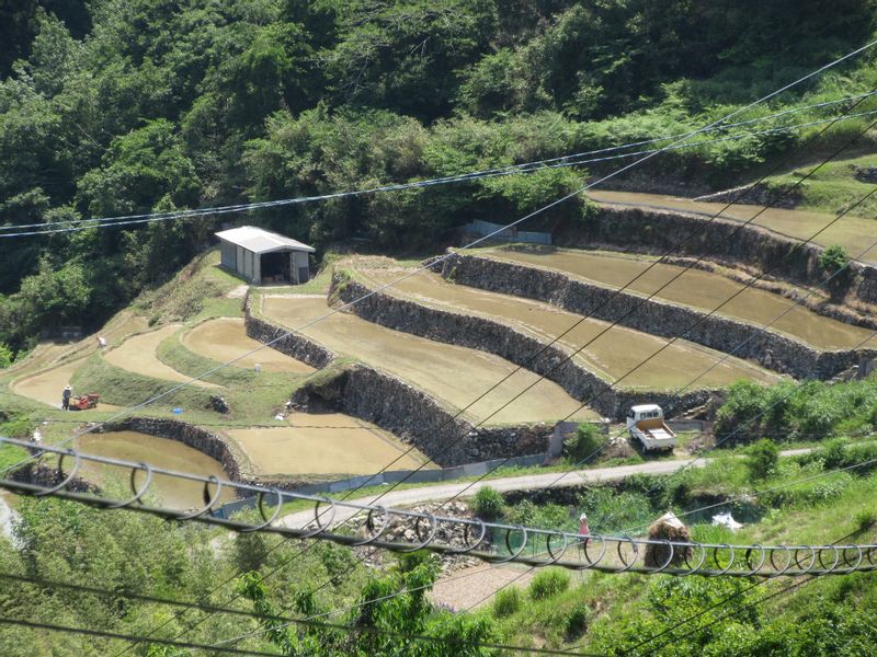 Kochi Private Tour - Tanada, Terraced Rice Fields