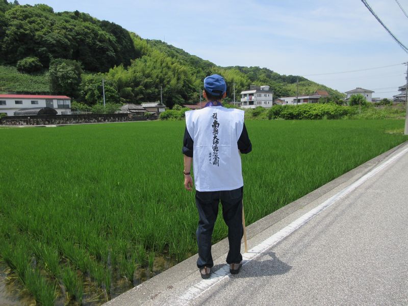 Kochi Private Tour - Shikoku Henro Pilgrimage Walking