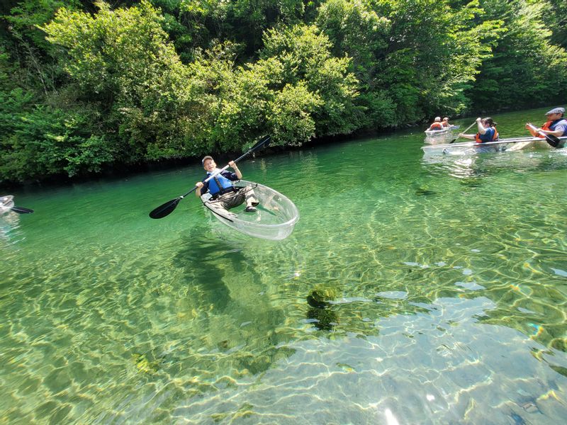 Kochi Private Tour - Crystal Kayak in The  Niyodo River