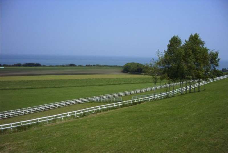Tokyo Private Tour - Yakumo town Hokkaido Pref. in 2003