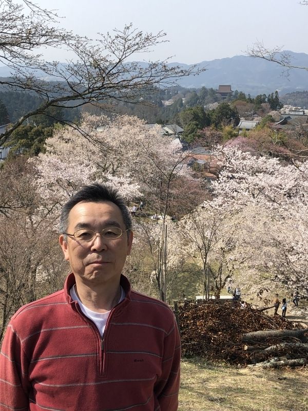 Chiba Private Tour - Blooming cherry blossams at Yoshino, Nara prefecture in Spring