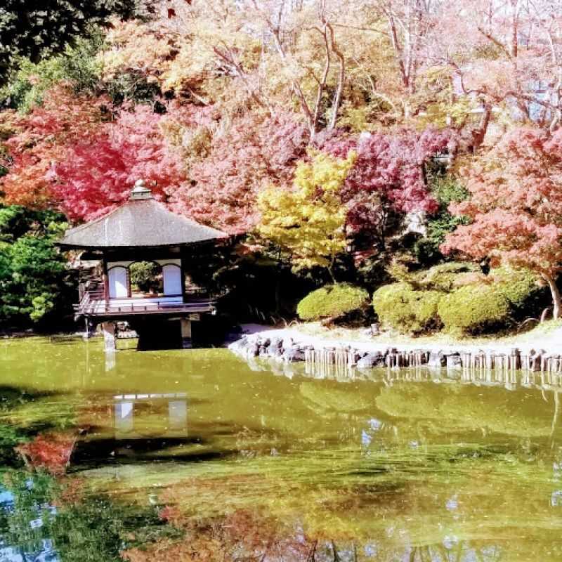 Wakayama Private Tour - Autumn in Wakayama Castle