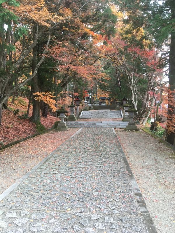 Gifu Private Tour - The path leading up to an ancient shrine.