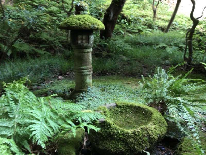 Yokohama Private Tour - A scene at Houkokuji Temple in Kamakura 