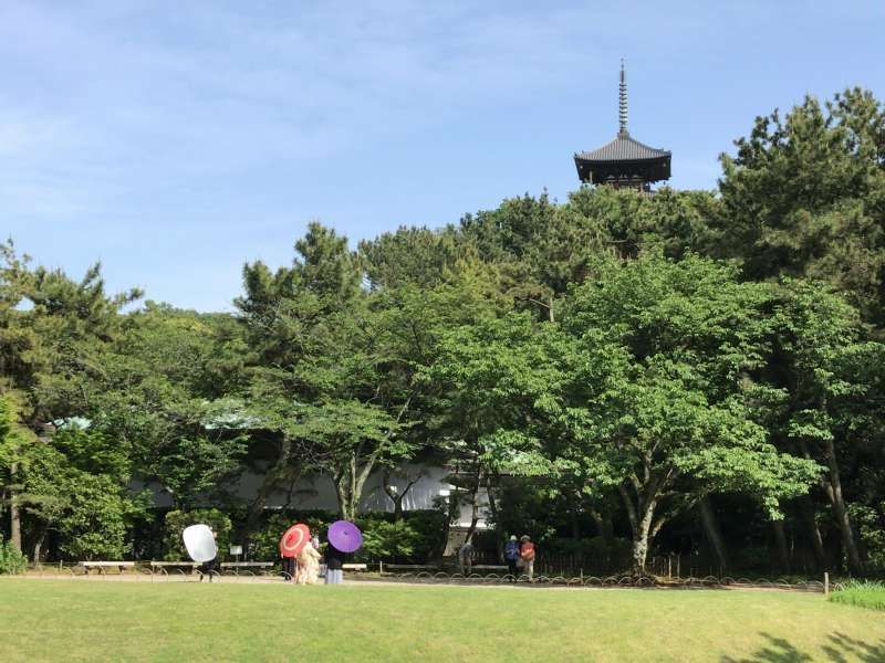 Yokohama Private Tour - Sankeien Garden, a spacious traditional Japanese-style garden, where you can see a lot of historic buildings relocated from all over Japan, in Yokohama