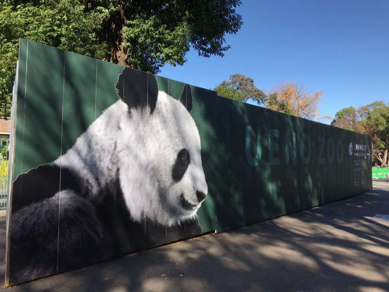 Yokohama Private Tour - Ueno Zoo in Ueno Park