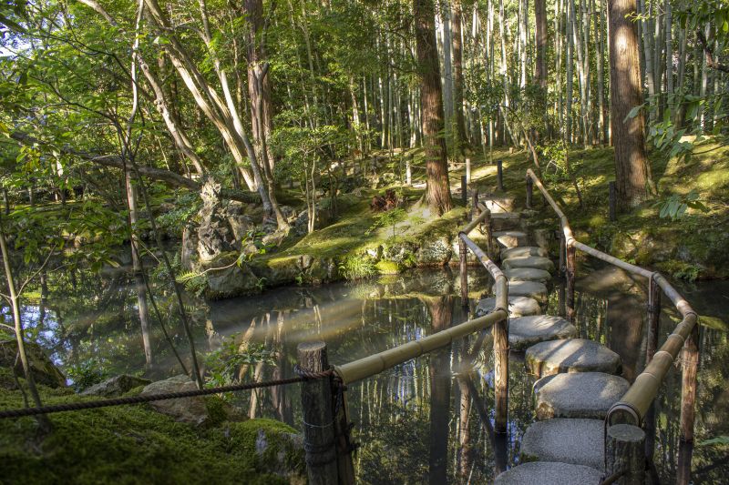 Tokyo Private Tour - Beautiful steps in Garden