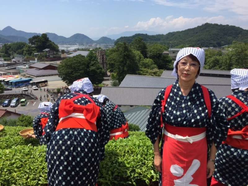 Kanagawa Private Tour - If, the weather was good, I could see Mt.Fuji far ahead.
Near the tea garden, there are Nirayama Reverberatory 
Furnaces which are listed as World Cultural Heritage 
site.