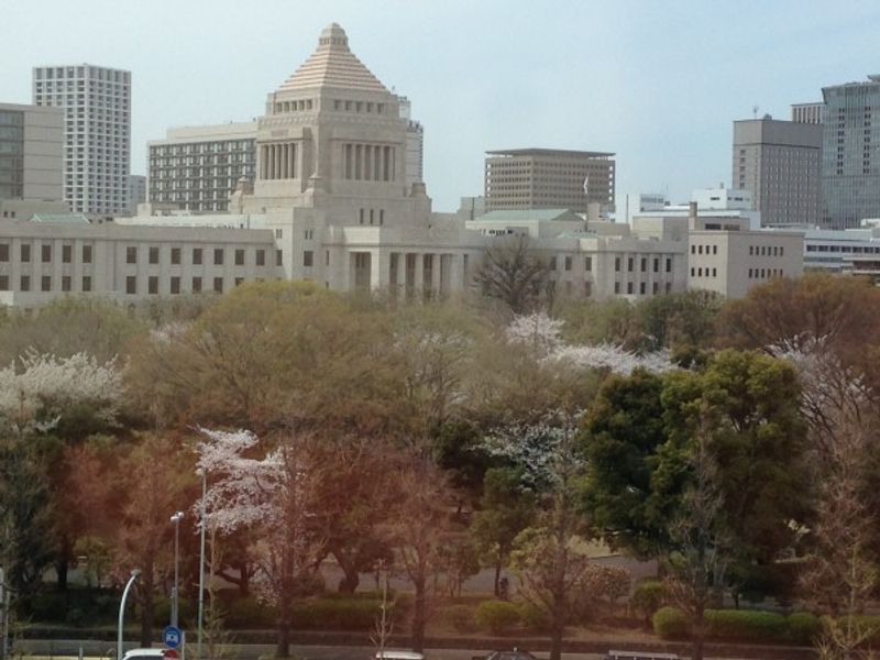 Tokyo Private Tour - Spring in Tokyo. National Diet building is surrounded by cherry blossom and turns to slightly pink color.