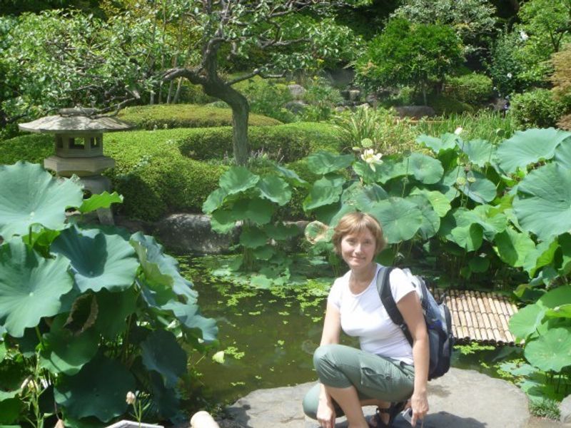 Tokyo Private Tour - Summer in Kamakura city, Kanagawa prefecture. In HASE Buddhist temple, a small pond with lotus flowers welcomes you at the entrance.