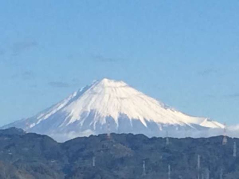 Shizuoka Private Tour - Great view of Mt. Fuji!