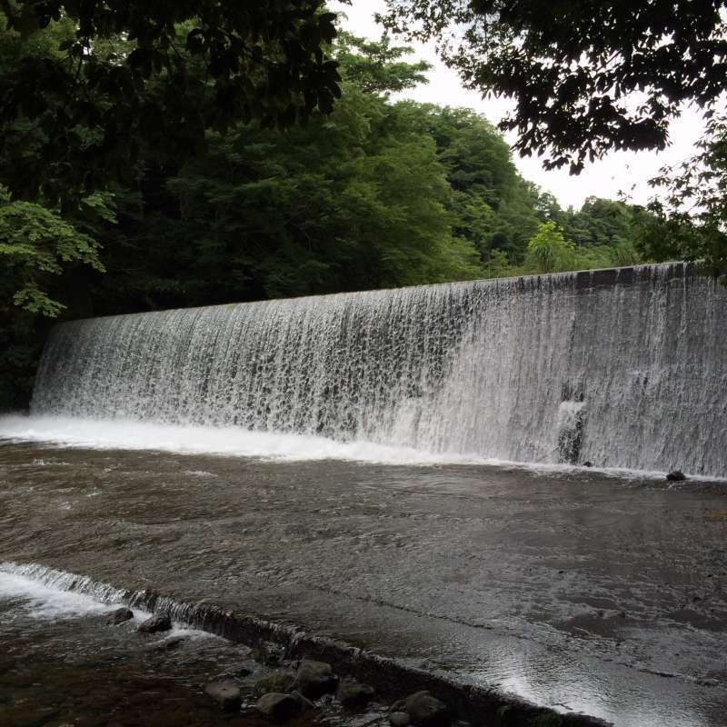 Shizuoka Private Tour - Walking tour in Amagi