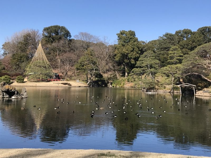 Tokyo Private Tour - Rikugi-en: A Japanese garden in Bunkyo city (February 2020).