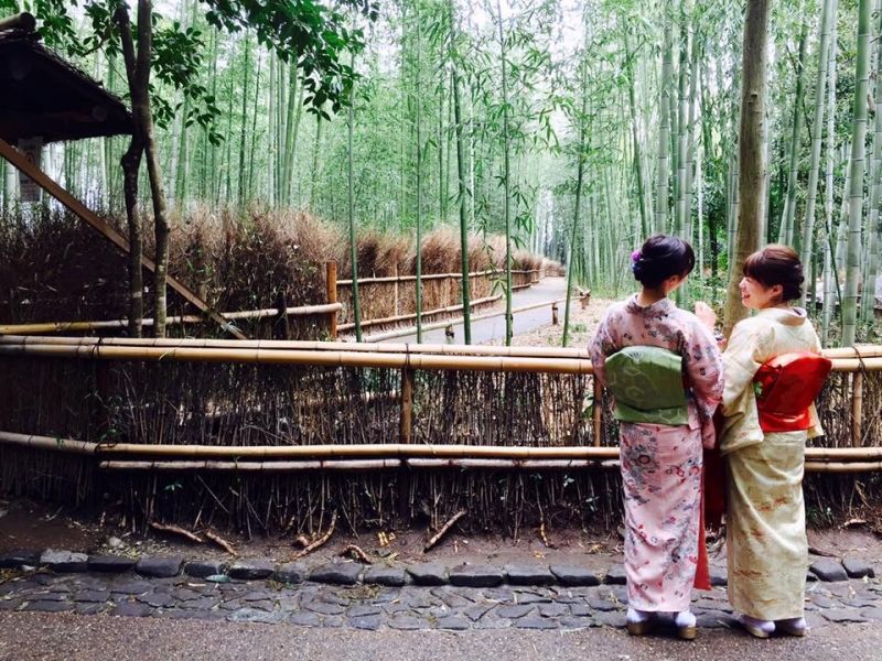 Hyogo Private Tour - Bamboo forest in Kyoto