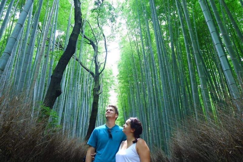 Hyogo Private Tour - Bamboo forest in Kyoto