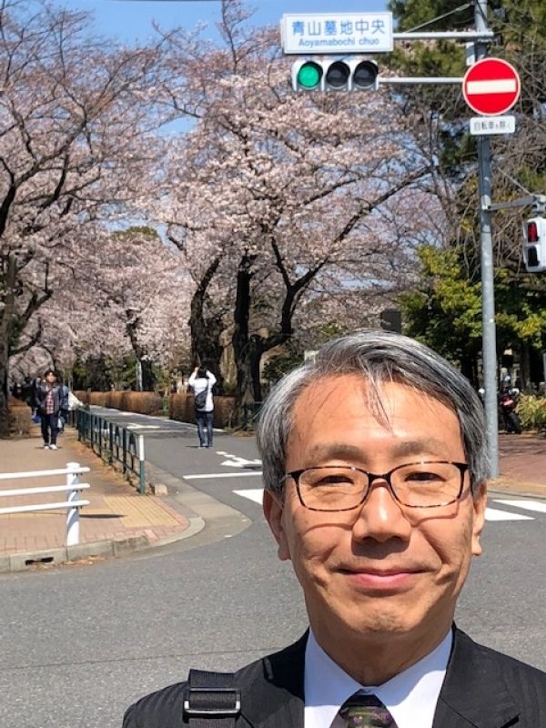 Tokyo Private Tour - Cherry in bloom at Aoyama bochi (cemetery)  in Tokyo.