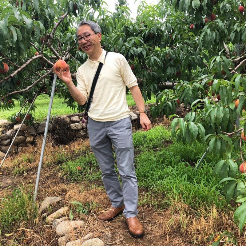 Tokyo Private Tour - Peach Orchard in Yamanashi, where is close to Mt.Fuji.