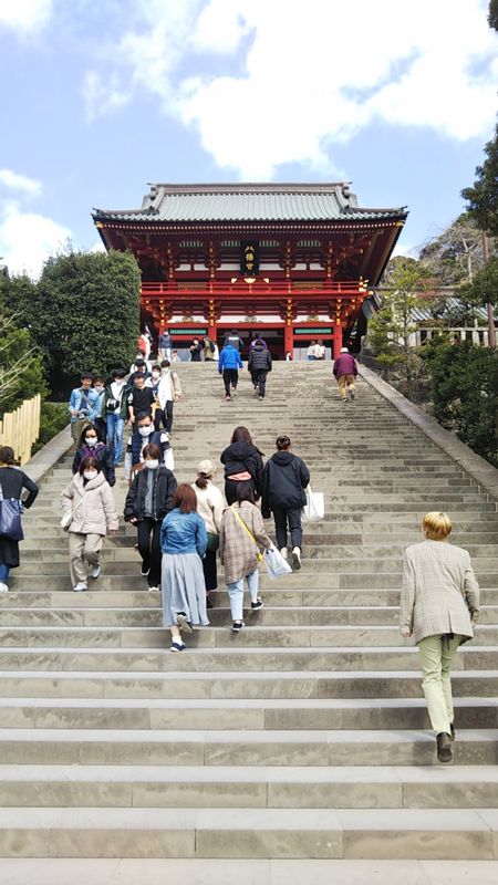 Chiba Private Tour - Tsurugaoka Hachimangu shrine (Kamakura, Kanagawa prefecture)