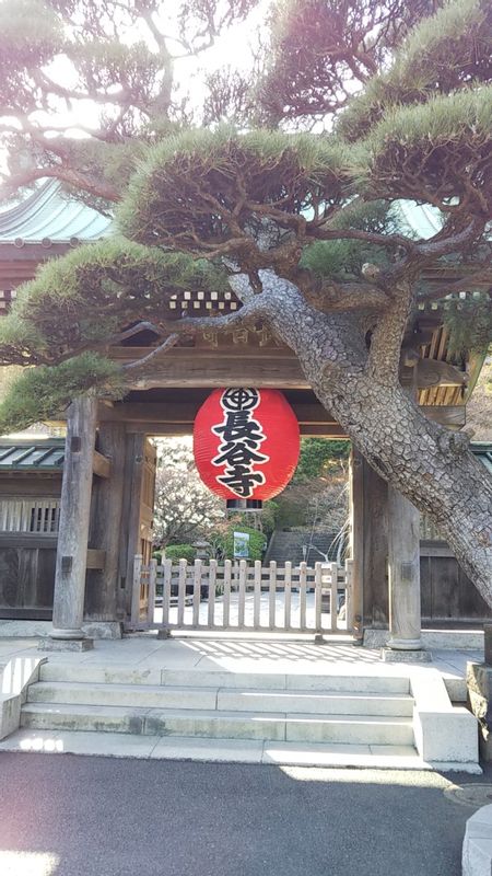 Chiba Private Tour - Hase temple (Kamakura, Kanagawa prefecture)