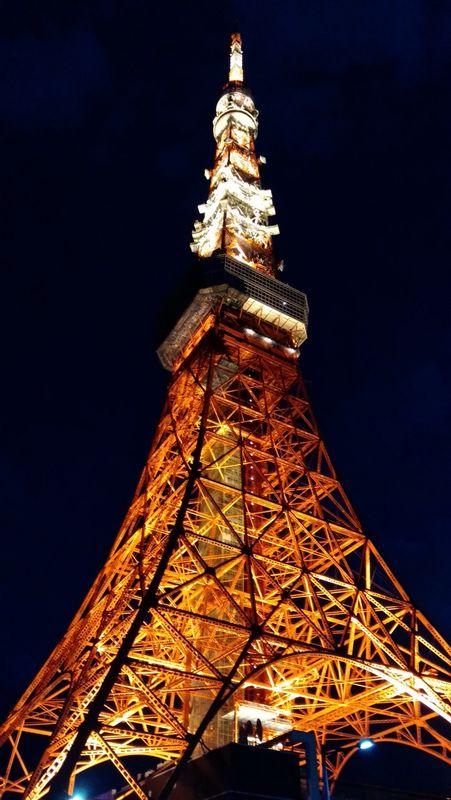 Chiba Private Tour - Tokyo Tower (Tokyo)