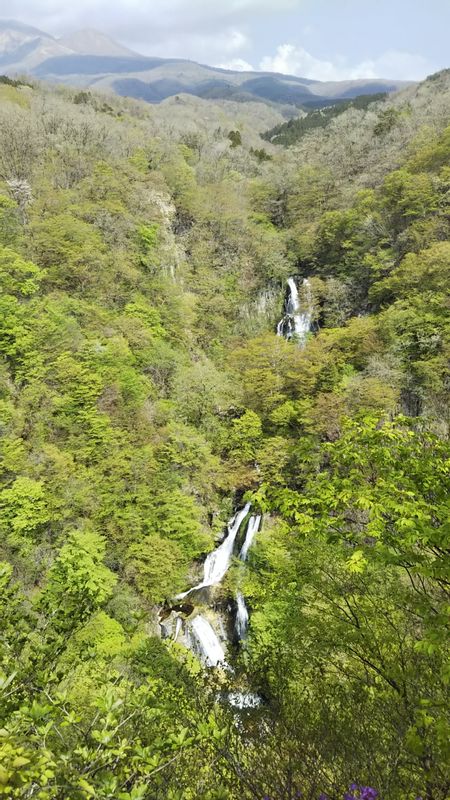 Chiba Private Tour - Kirifuri fall (Nikko, Gunma prefecture)