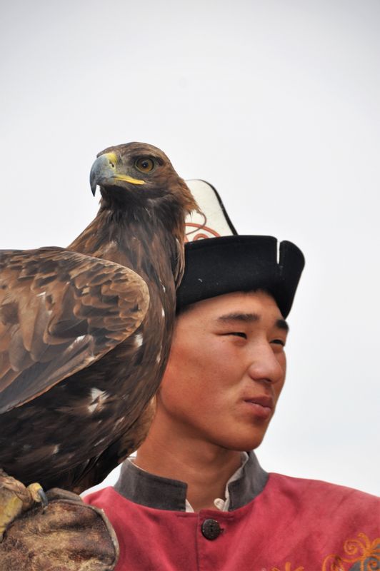 Bishkek Private Tour - Eagle is an important bird for Kyrgyz people. Kyrgyz people mainly use the eagle for eagle-hunting.