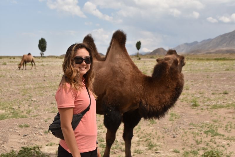 Bishkek Private Tour - We met camels.