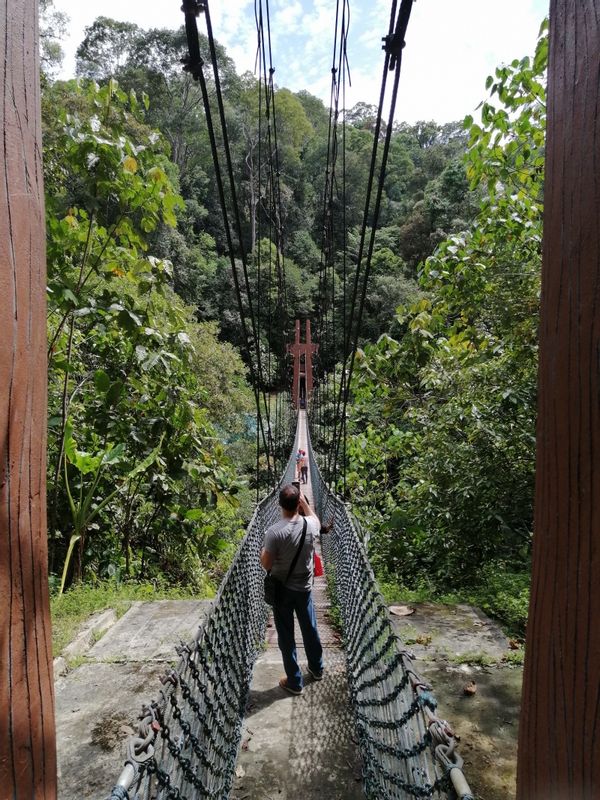 Brunei and Muara Private Tour - Suspension Hanging.
- Located at the Ulu Temburong National Park