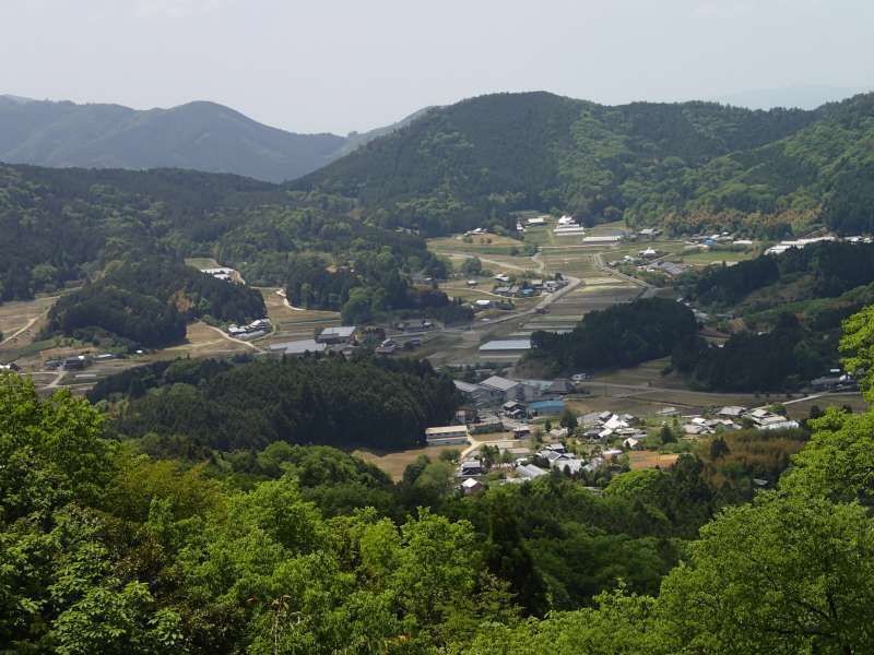 Nagano Private Tour - Hike to Koyasan