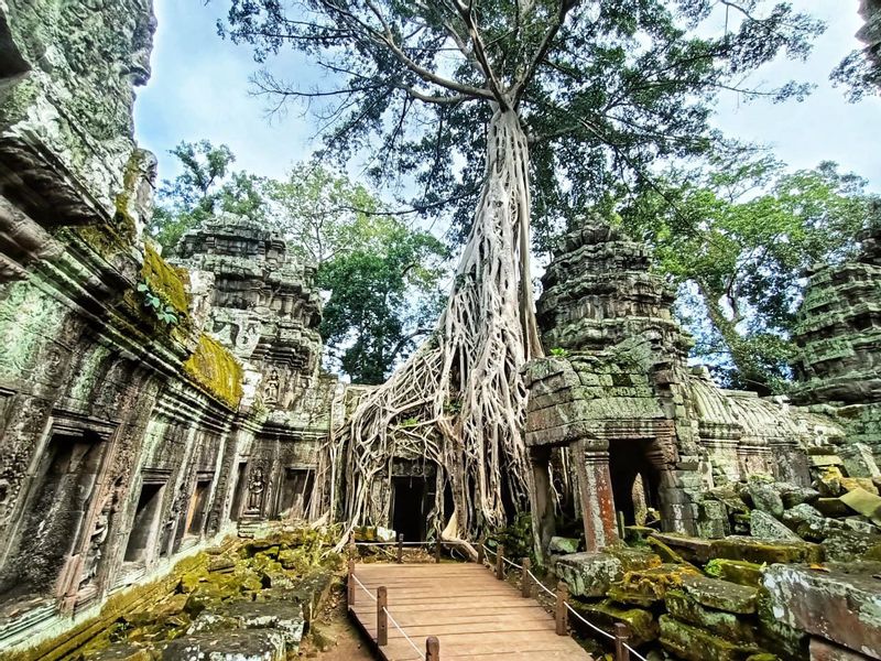 Siem Reap Private Tour - Ta Prohm, tomb raider